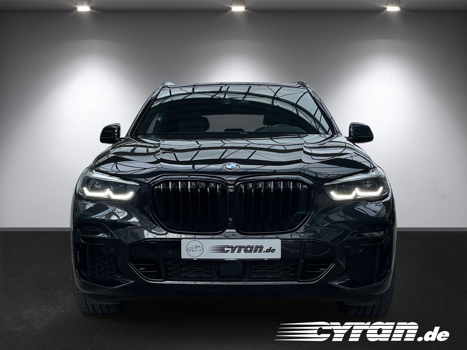 Fahrzeugabbildung BMW X5 xDrive 30 d M Sport